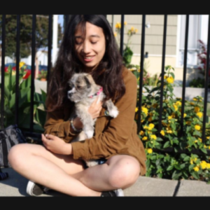Kayla Dog walker pet sitter east bay sonoma county