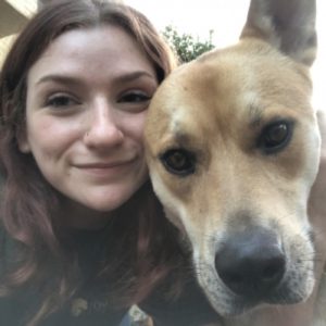 Sidney Dog walker pet sitter east bay sonoma county
